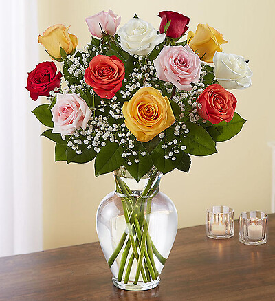 Rose Elegance&amp;trade; Premium Long Stem Assorted Roses