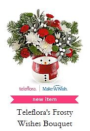 TELEFLORA FROSTY WISHES
