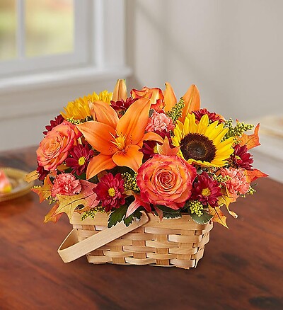 Fields of Europe&amp;trade; for Fall Basket