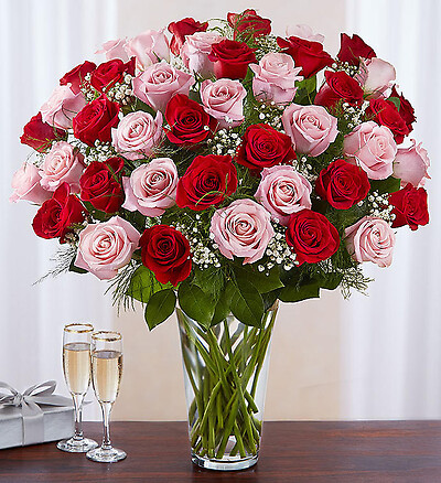 Ultimate Elegance&amp;trade; Long Stem Pink &amp;amp; Red Roses