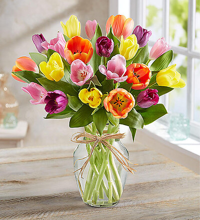 Timeless Tulips&amp;reg;