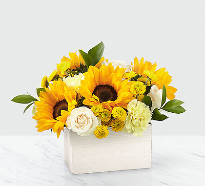 Sweet as Lemonade Sunflower Bouquet