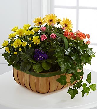 Gentle Blossoms&amp;trade; Basket